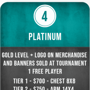 Platinum Team Sponsorship