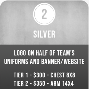Silver Team Sponsorship